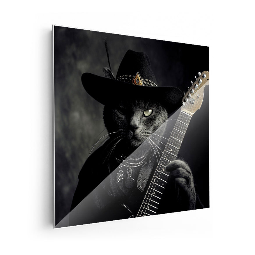 Gato Guitarrista