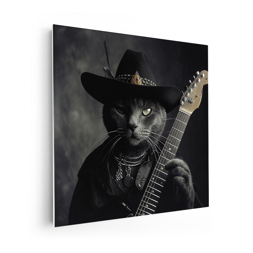 Gato Guitarrista