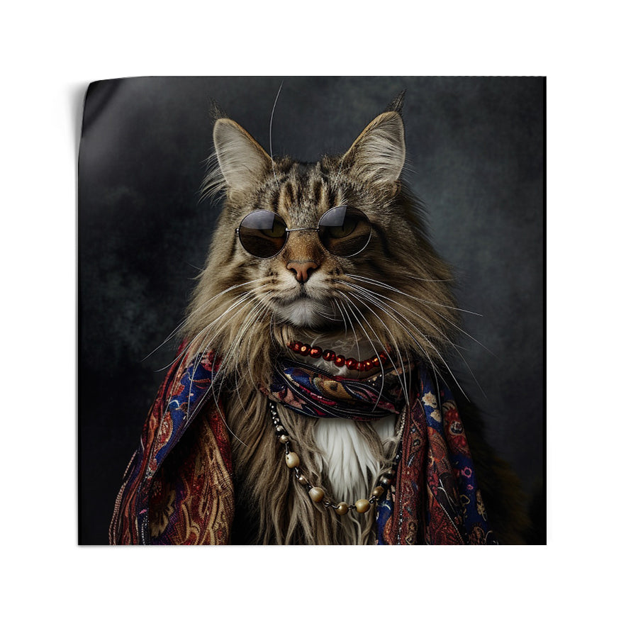 Gato Gafas Oscuras