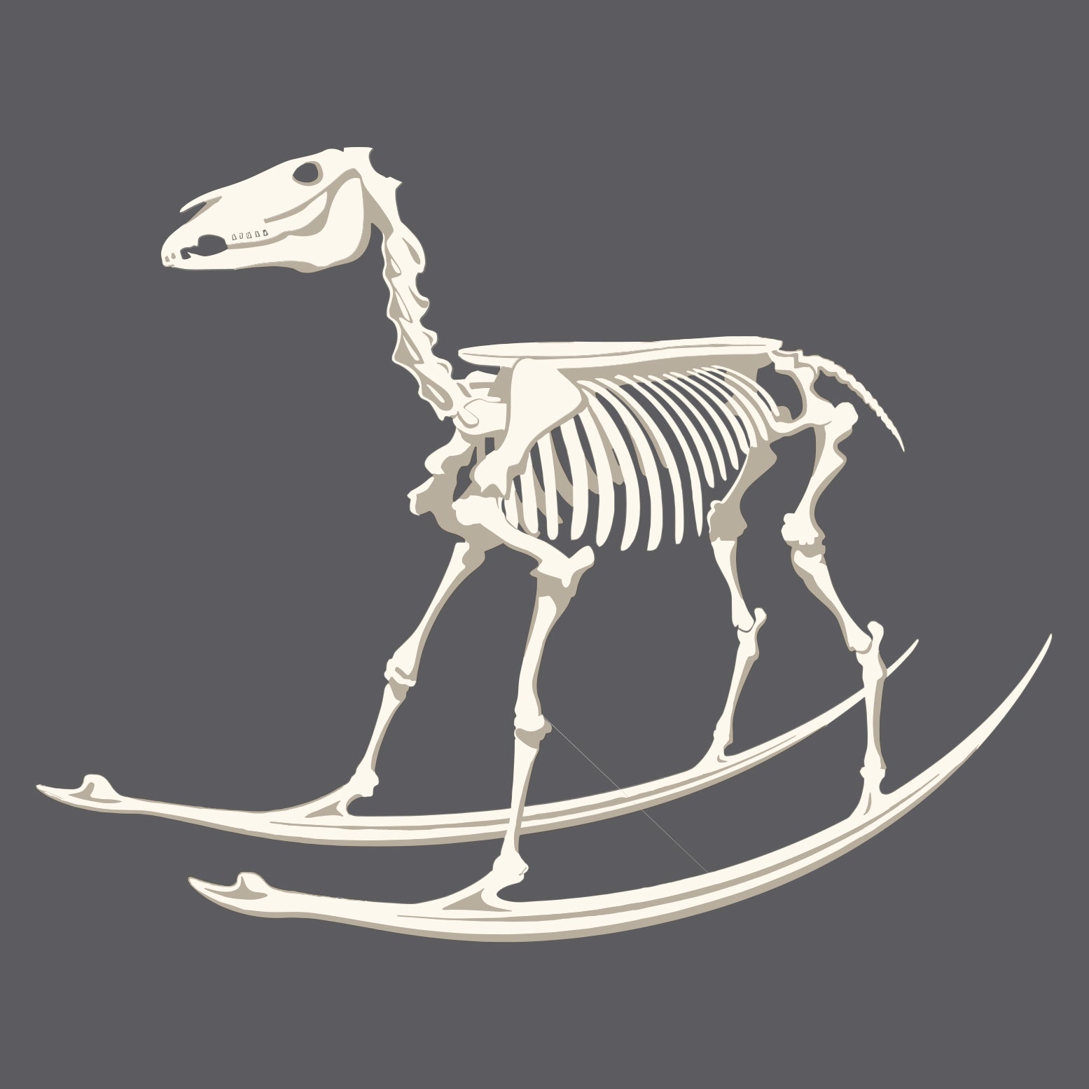 Playera Caballo Esqueleto Kids
