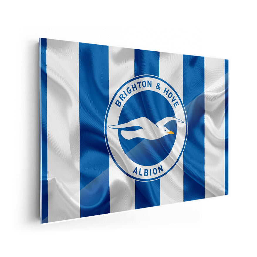 Brighton & Hove Albion Football Club