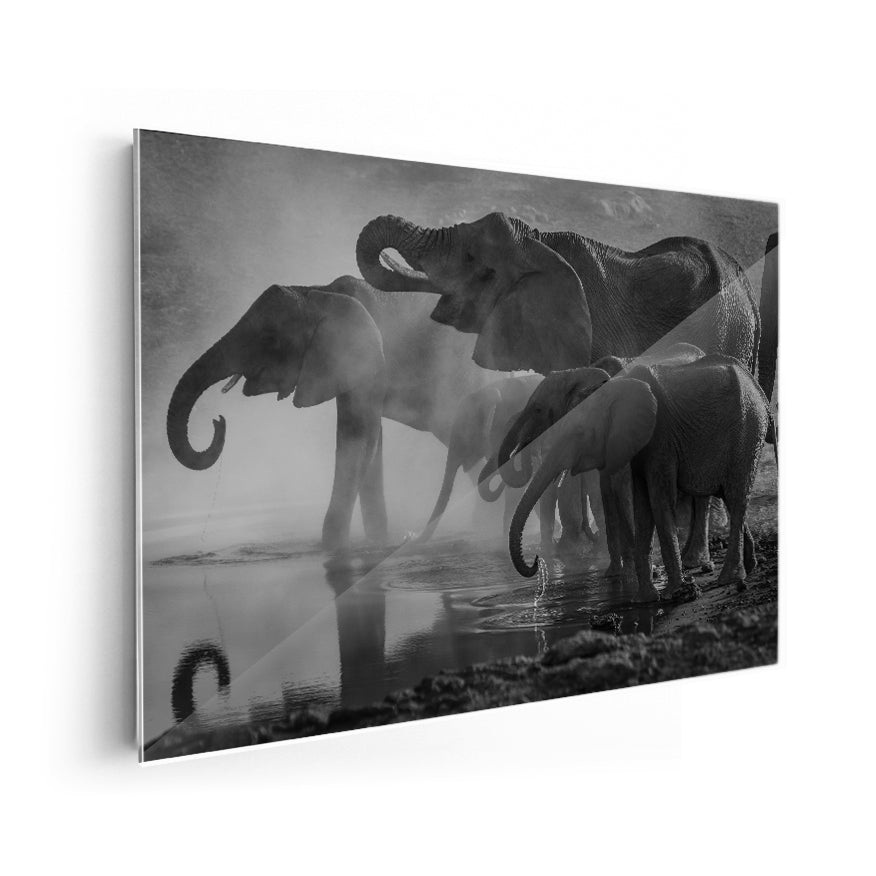 Elefantes en el Abrevadero