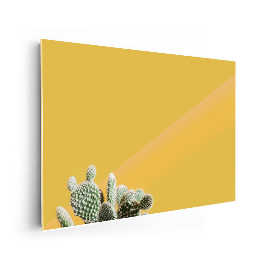 Nopal