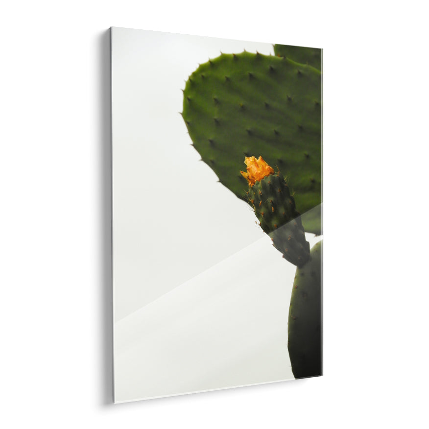 Nopal con Fruto y Flor