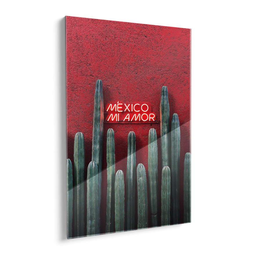 Cactus Ordenador