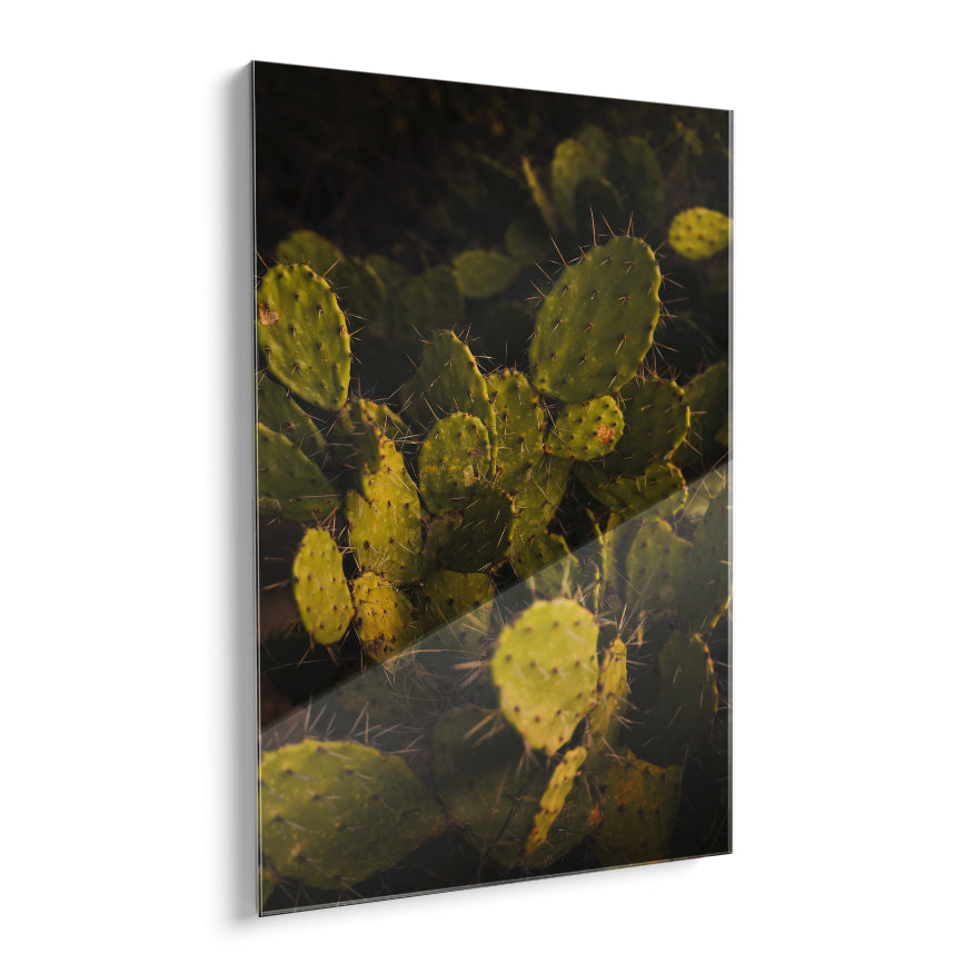 Nopal