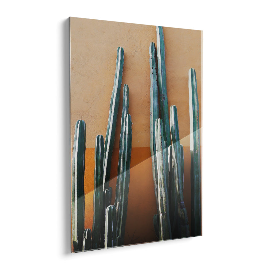 Cactus de Ordenador