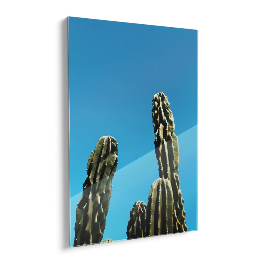 Cactus de Ordenador