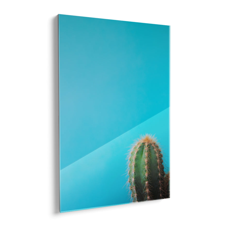 Saguaro