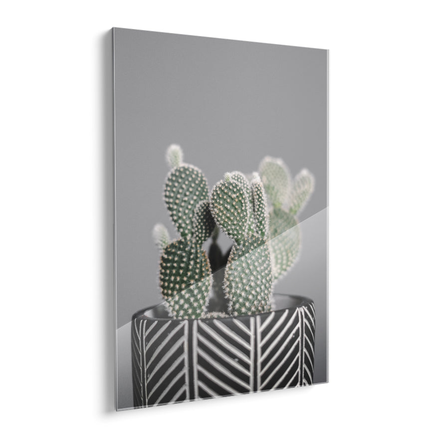 Nopal Enano