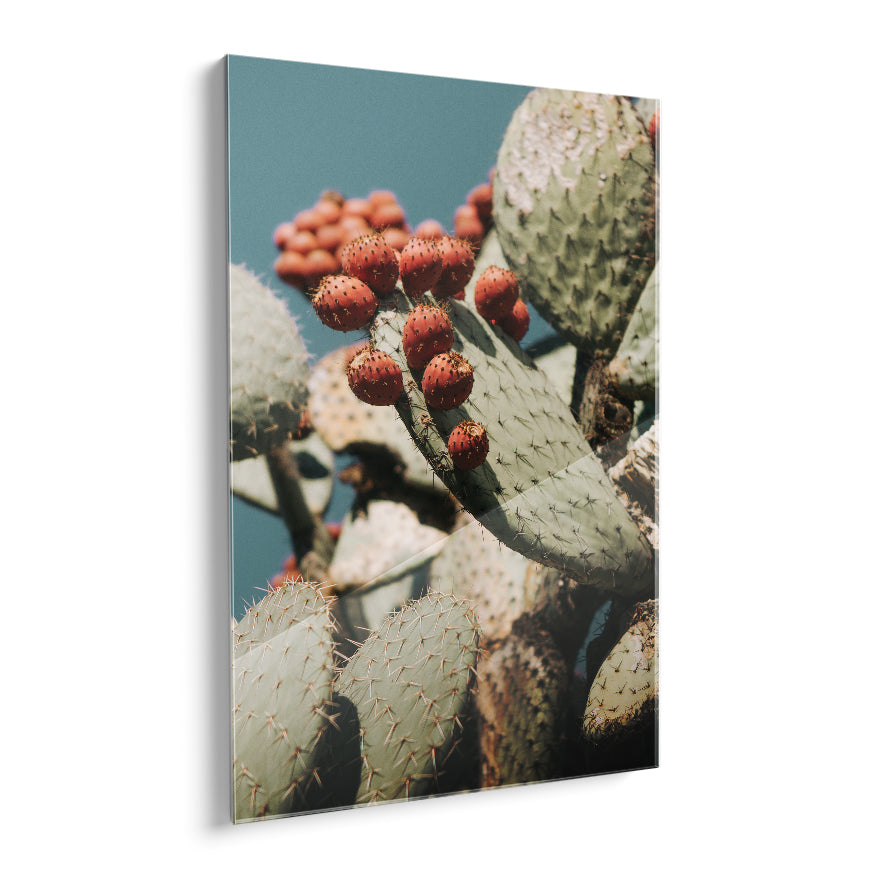Nopales y su Fruto