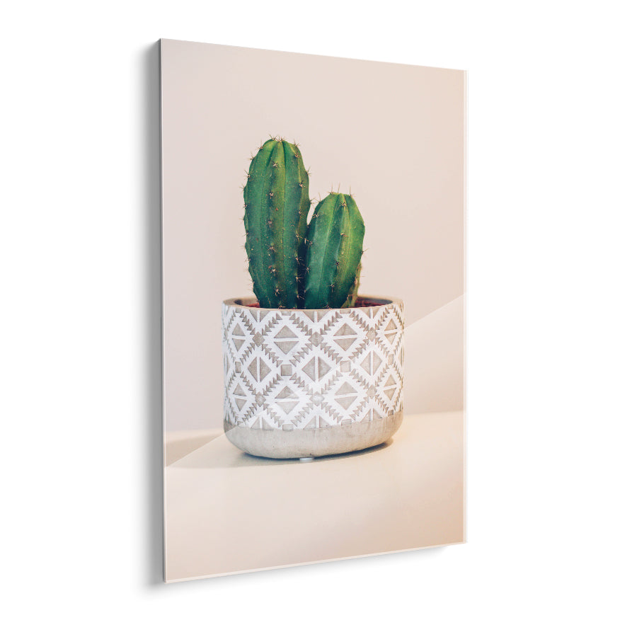 Cactus Cresta