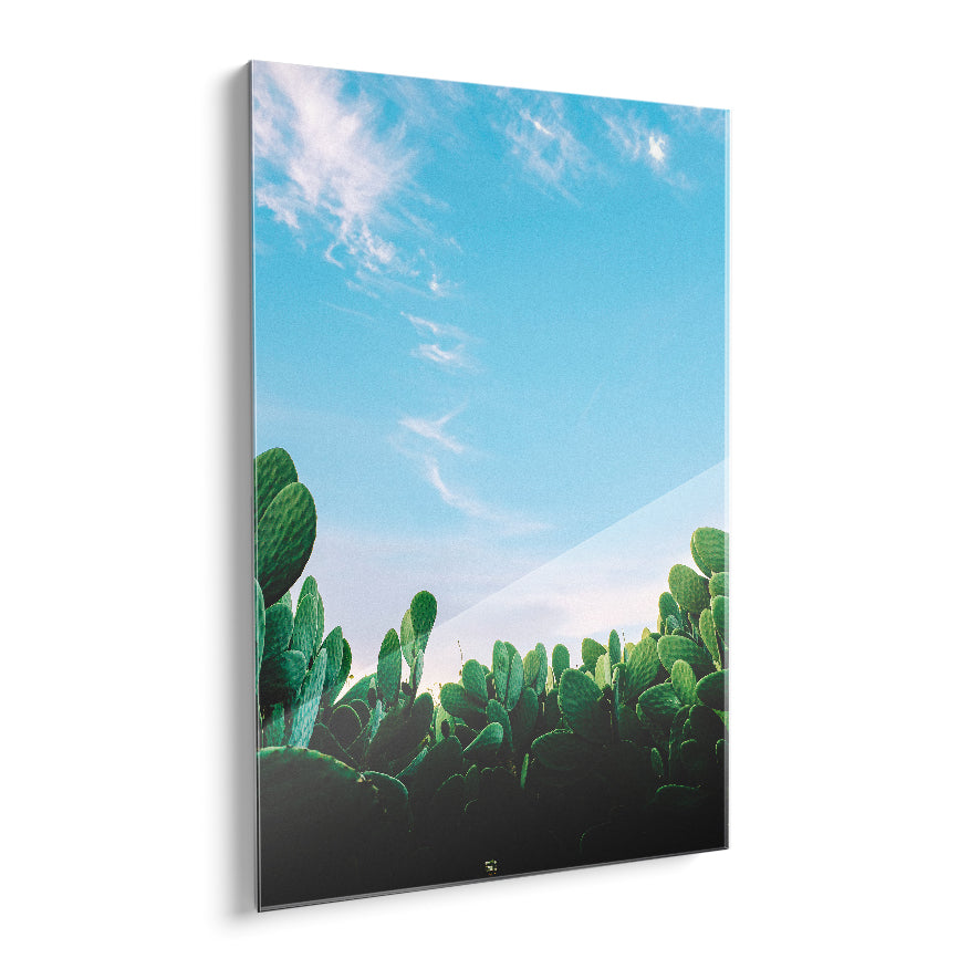 Nopales en el Desierto