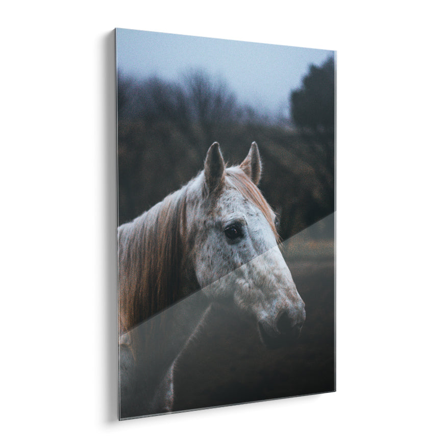 Rostro de Caballo