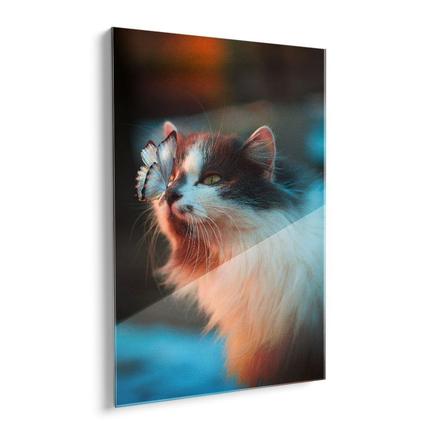 Gato y Mariposa