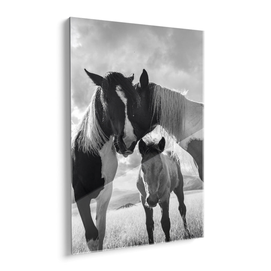Caballos y Potrillo