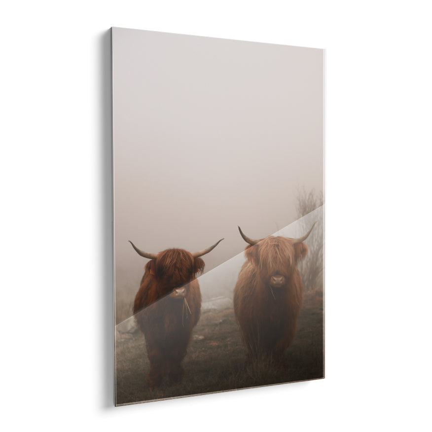 Vaca de las Tierras Altas