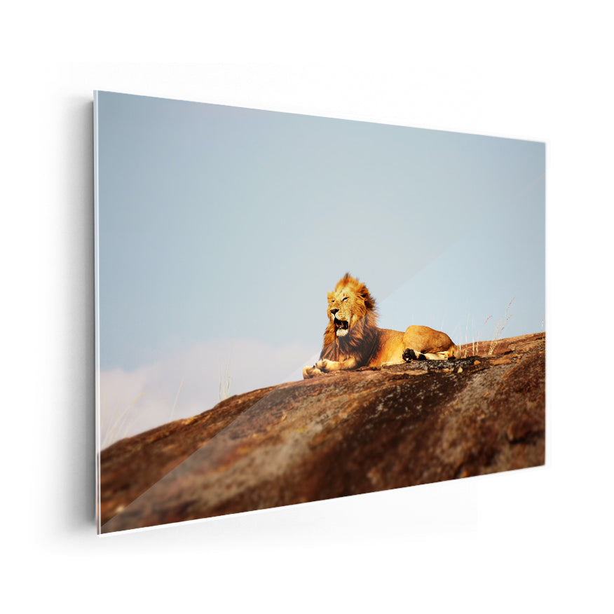 León en la Roca