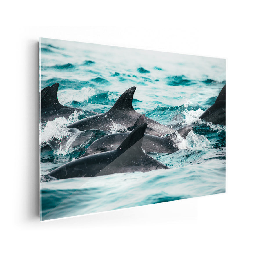 Lomos de Delfines