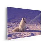 25665155563686