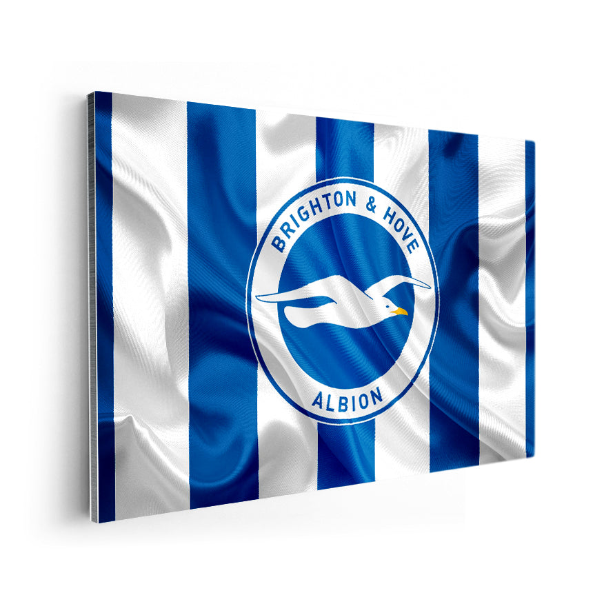 Brighton & Hove Albion Football Club