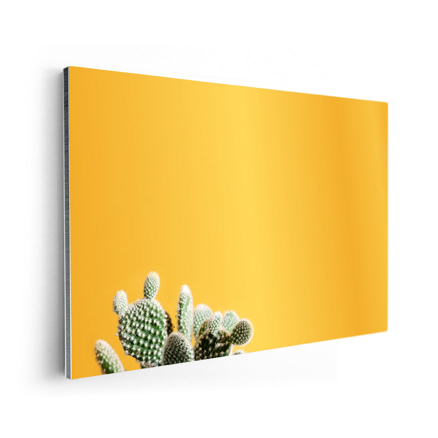 Nopal