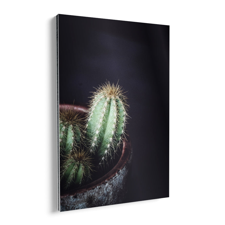 Cactus Candelabro
