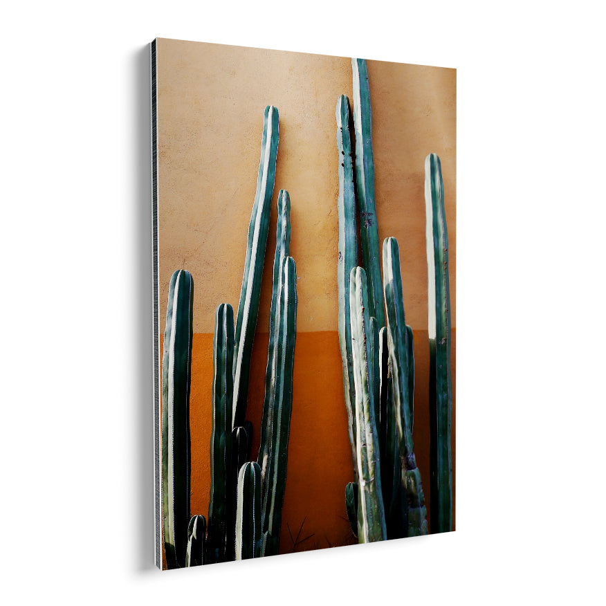 Cactus de Ordenador