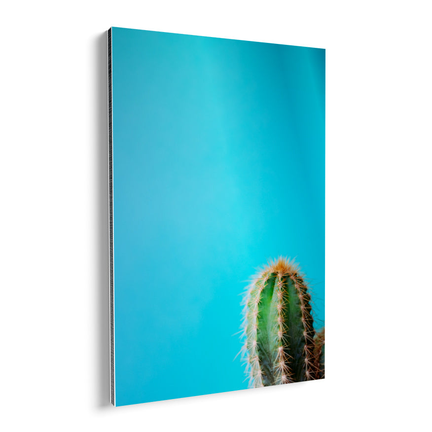 Saguaro