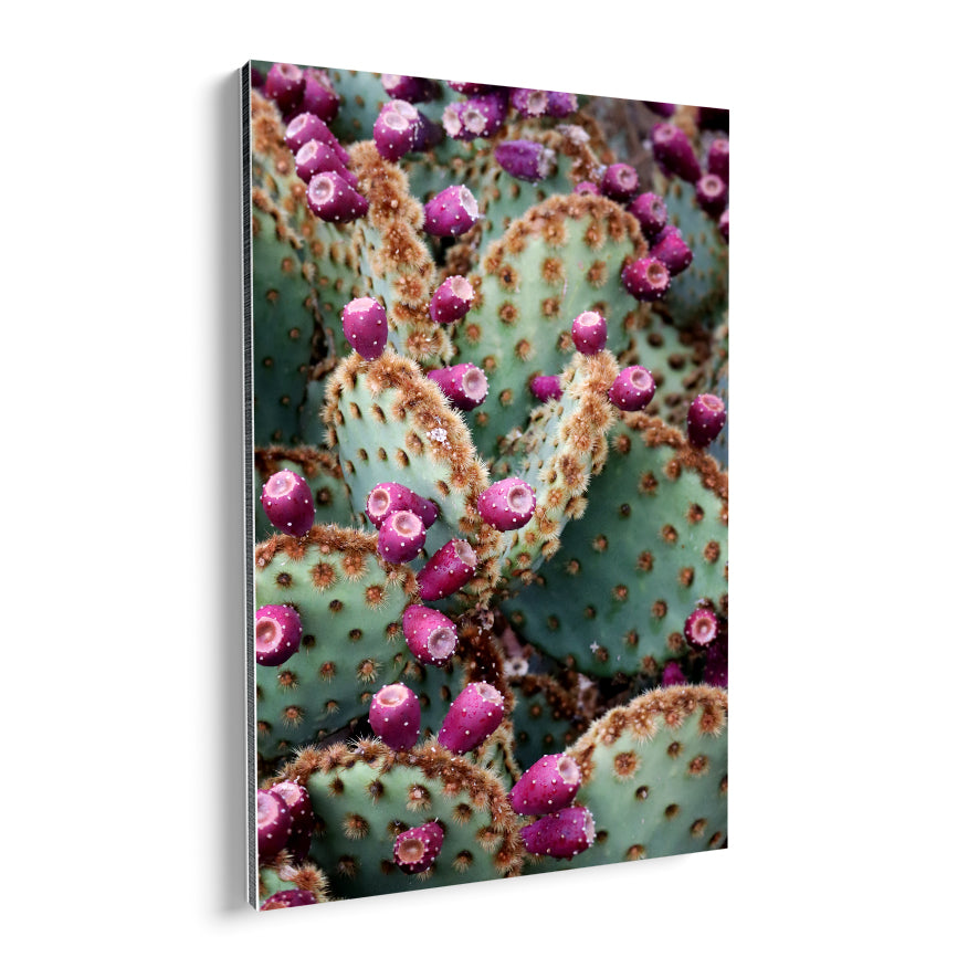 Nopales con Fruto