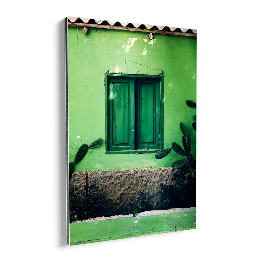 Nopales en la Ventana