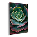 25539349872806