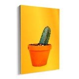25524509507750