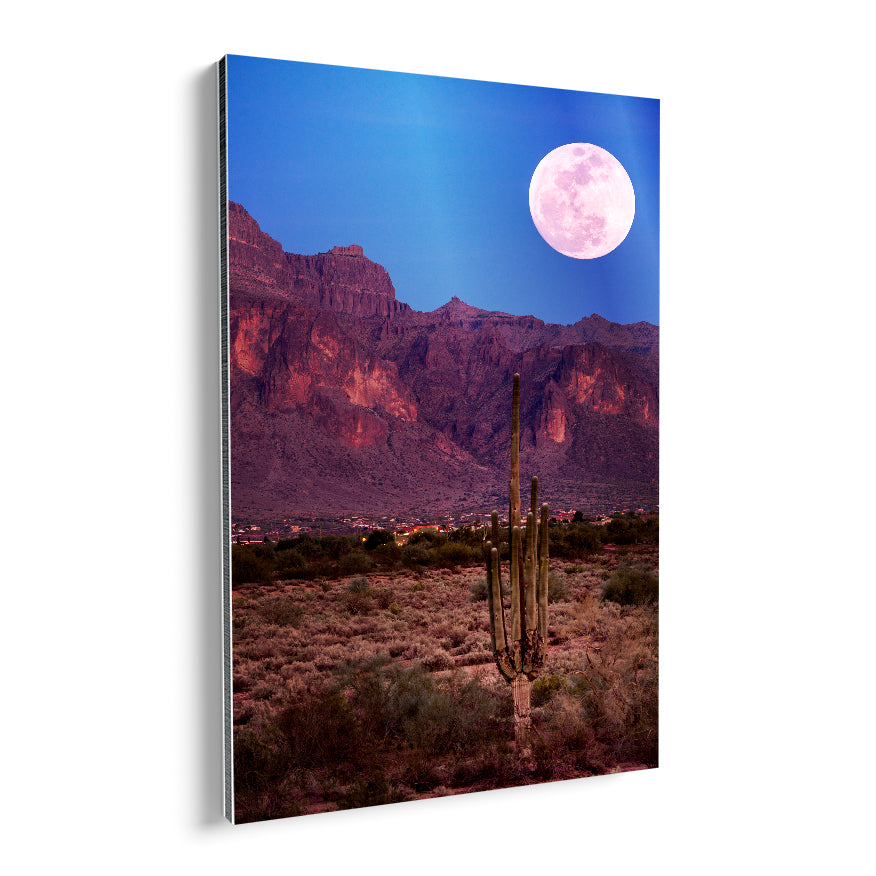 Saguaro