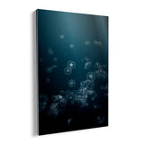 25493101281446