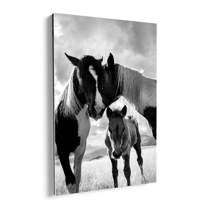 Caballos y Potrillo