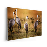 25858702114982