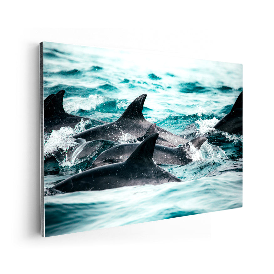 Lomos de Delfines