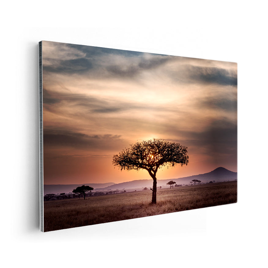 Silueta de Árbol