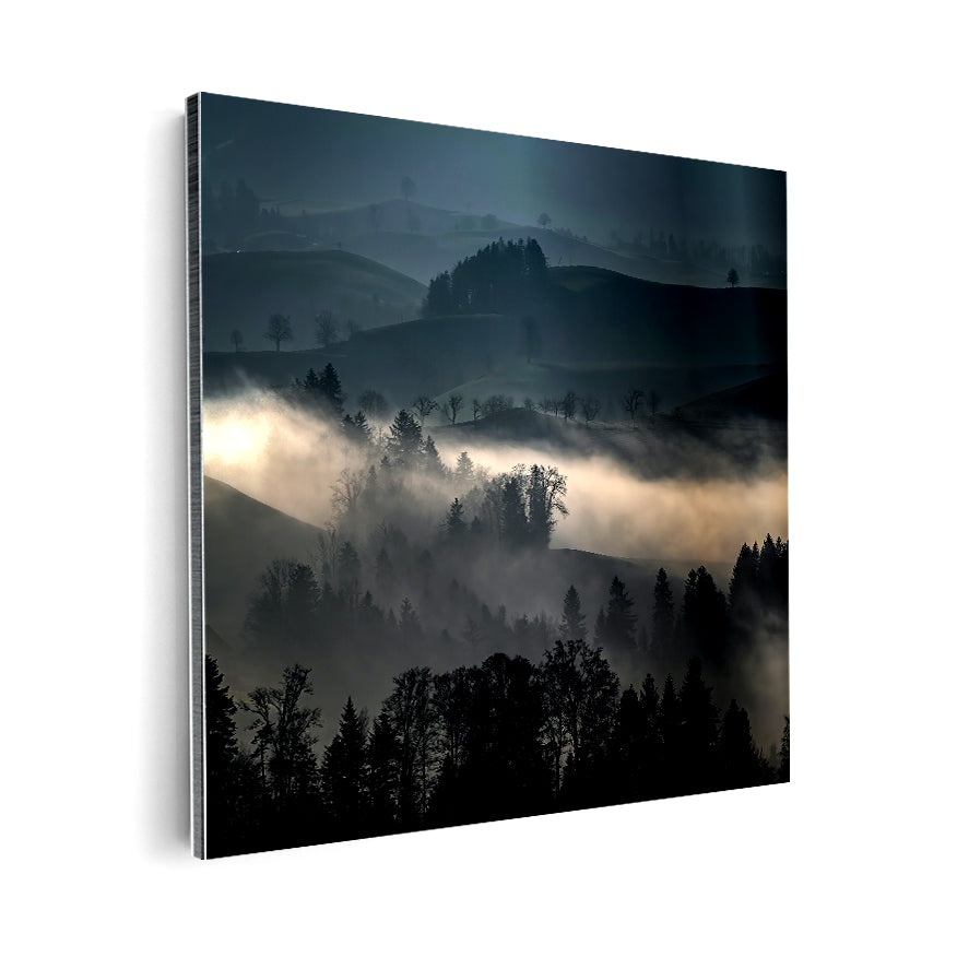 Árboles y Neblina