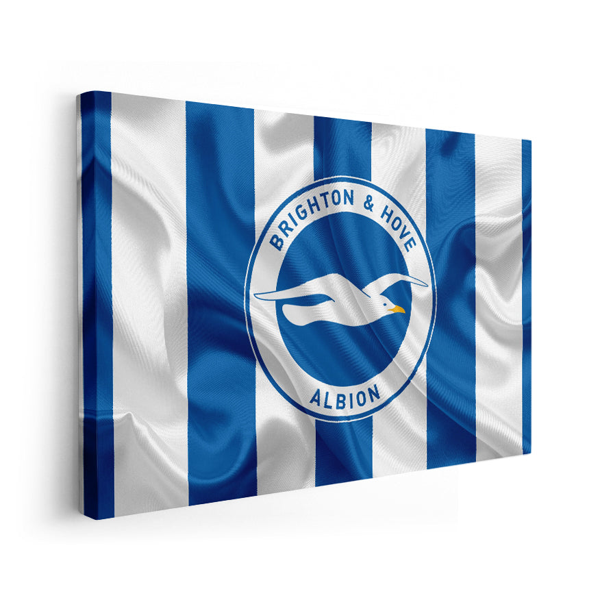 Brighton & Hove Albion Football Club