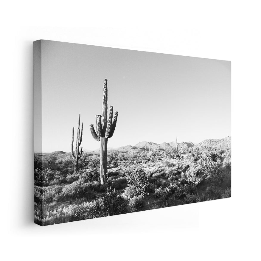 Saguaro