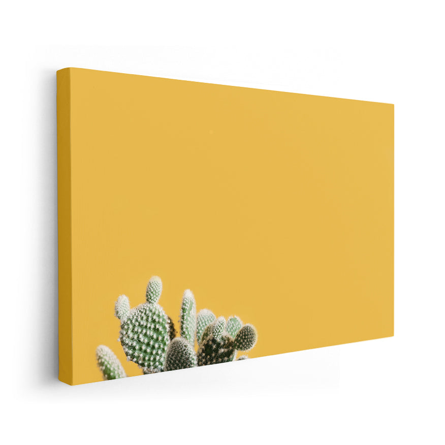 Nopal