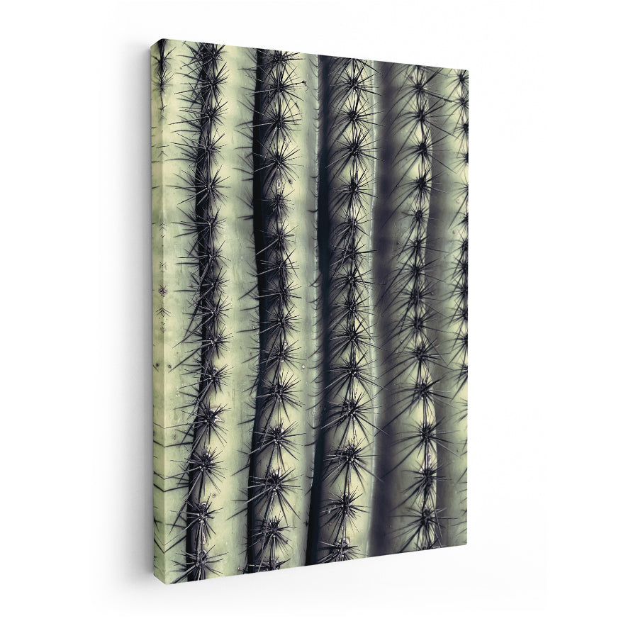 Saguaro