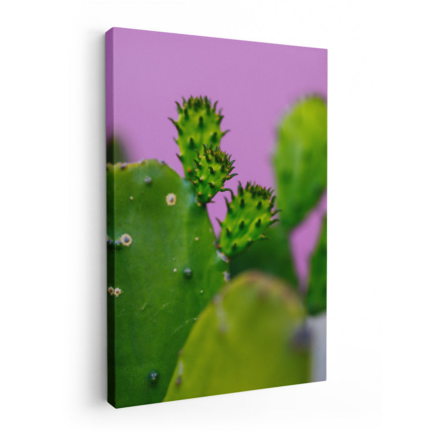 Nopales y sus Retoños