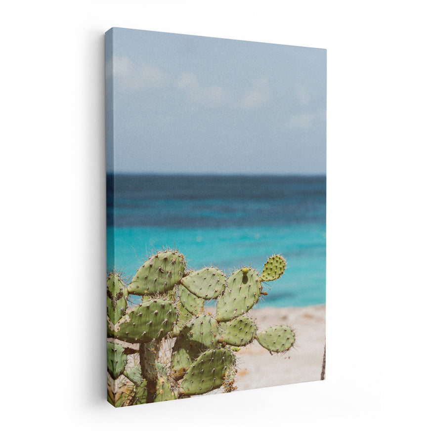 Nopal en la Playa