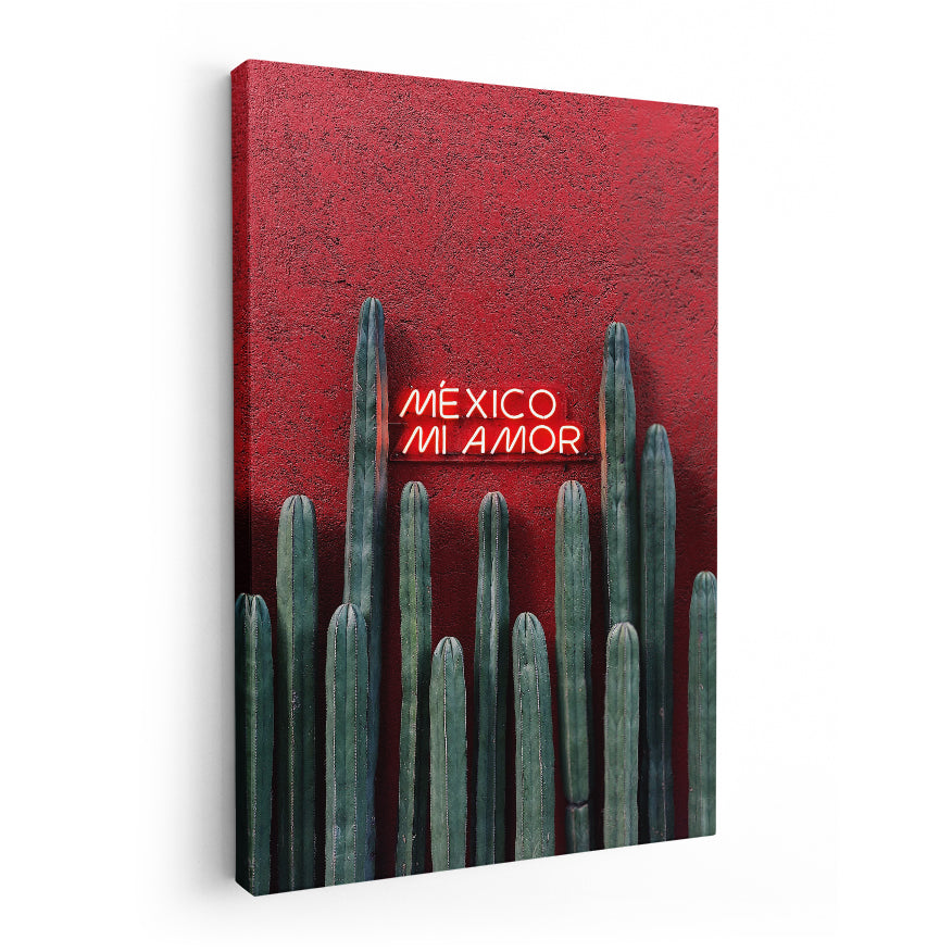 Cactus Ordenador