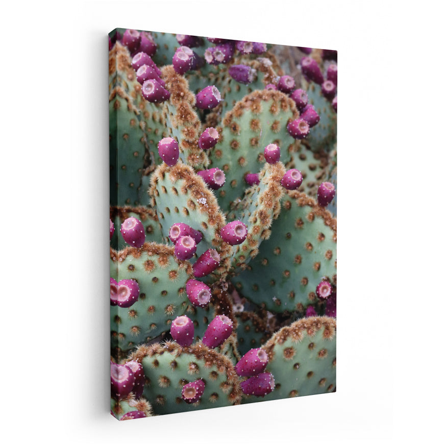 Nopales con Fruto