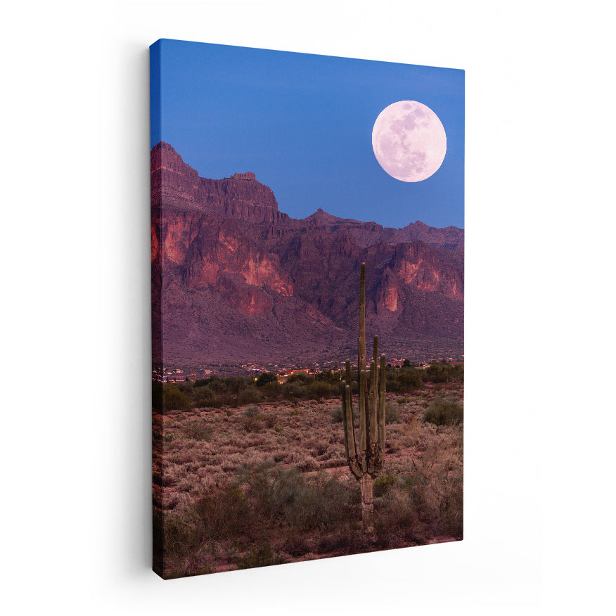 Saguaro