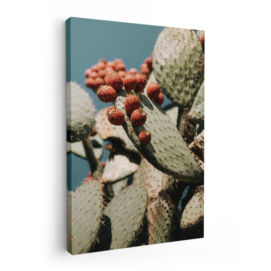 Nopales y su Fruto
